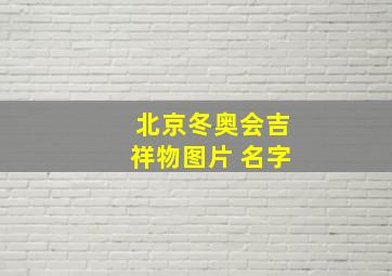 北京冬奥会吉祥物图片 名字